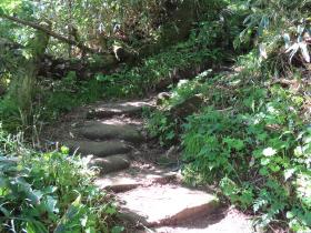 上高地側登山道