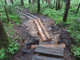 上高地側登山道