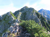 西穂高岳